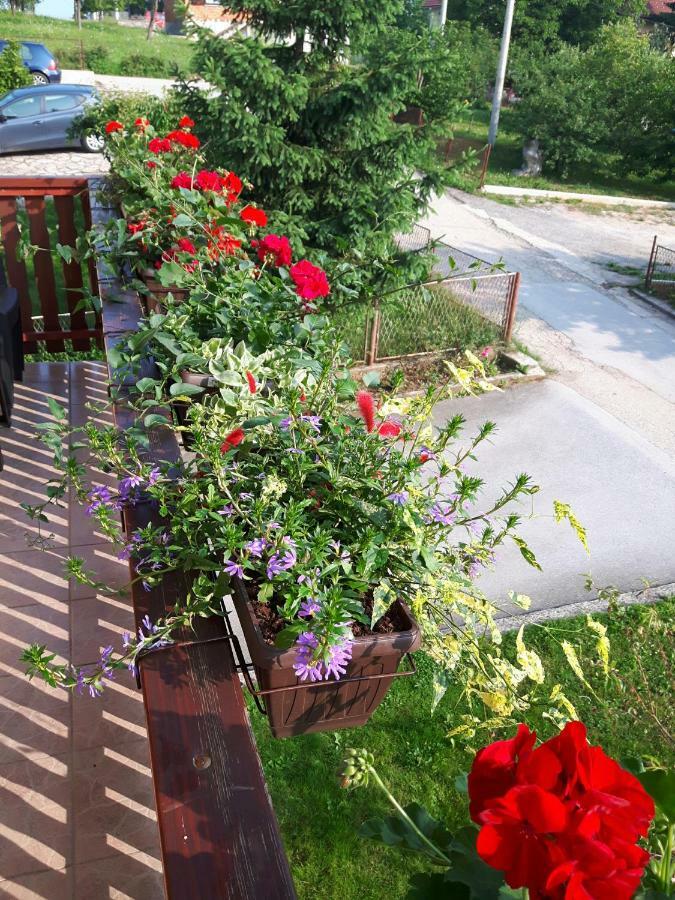 Apartman Petra & Tena Слунь Екстер'єр фото