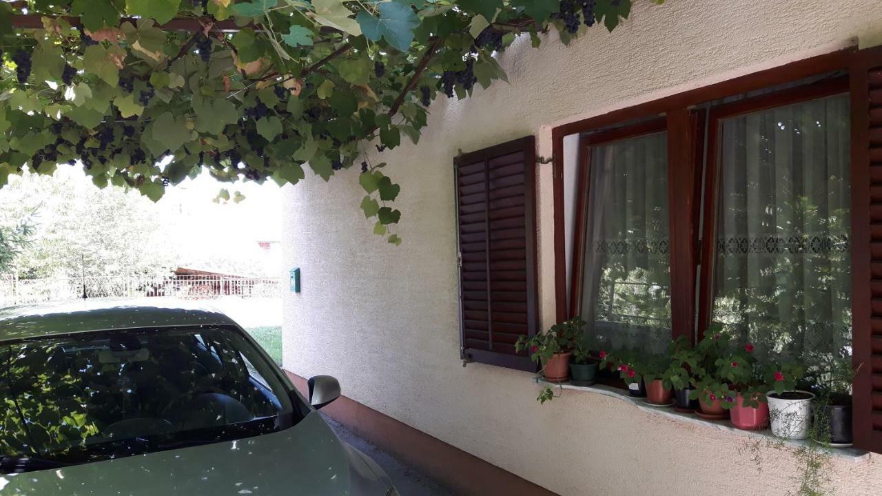 Apartman Petra & Tena Слунь Екстер'єр фото